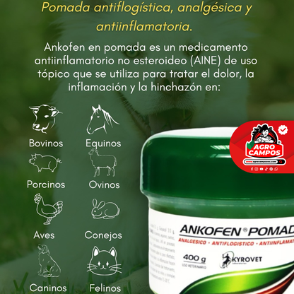 Ankofen Pomada