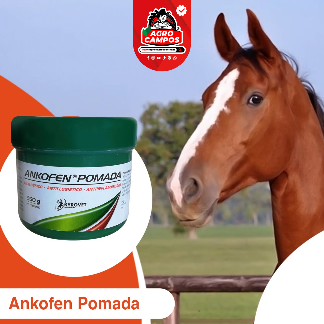 Ankofen Pomada