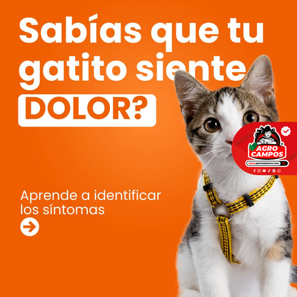 Ankofen Tabletas
