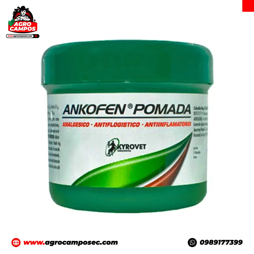 ANKOFEN crema