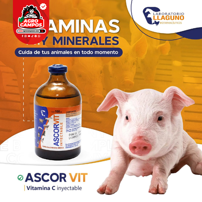 Ascorvit Iny.
