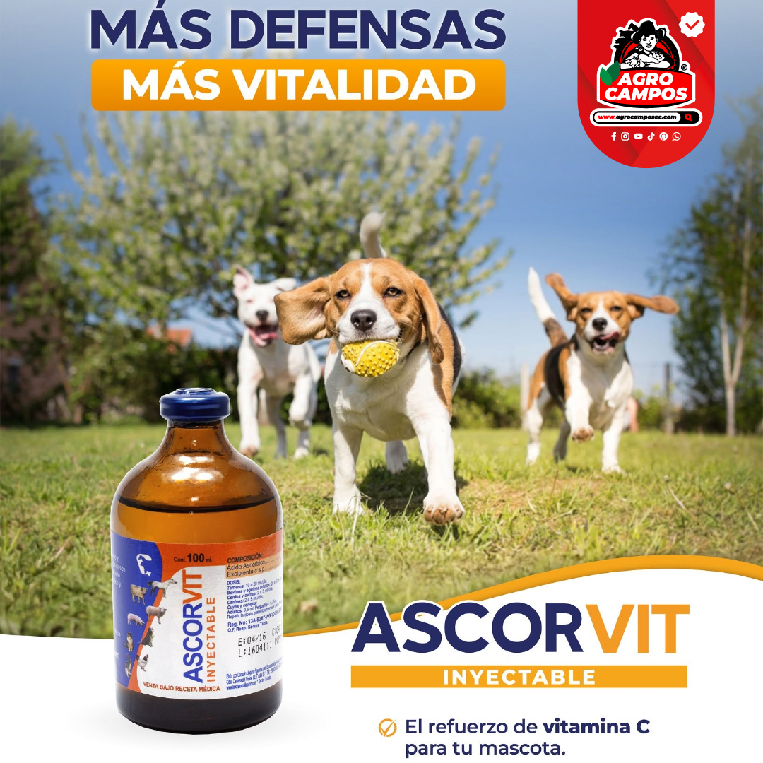 Ascorvit Iny.