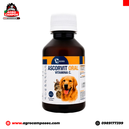 Ascorvit Oral
