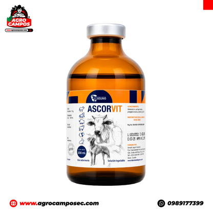 Ascorvit Iny.