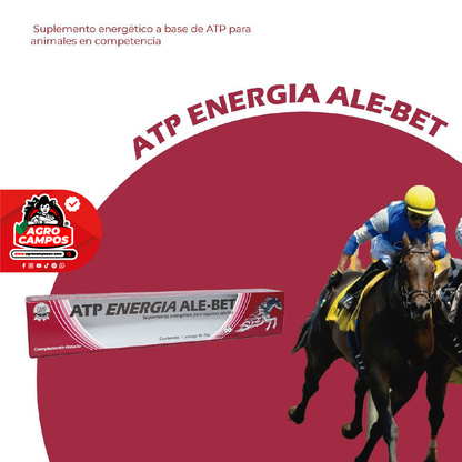 ATP Energía