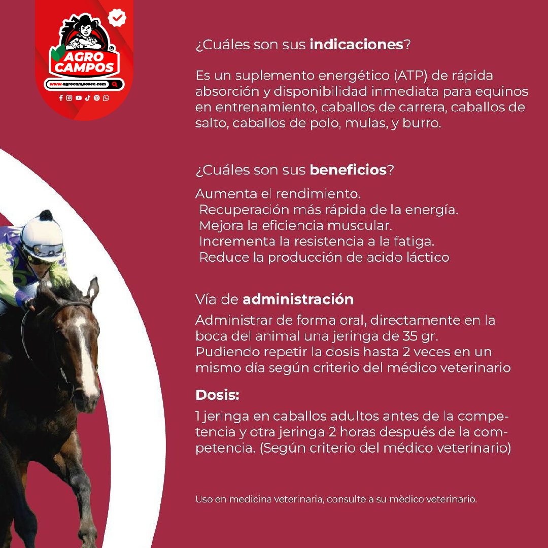 ATP Energía