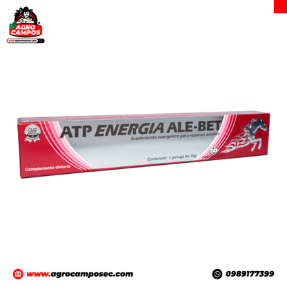 ATP Energía