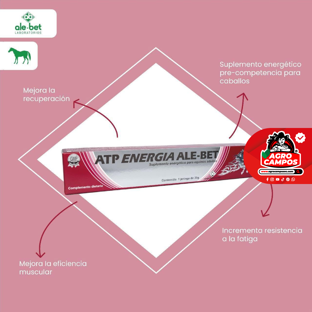ATP Energía