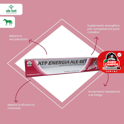 ATP Energía