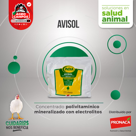 Avisol