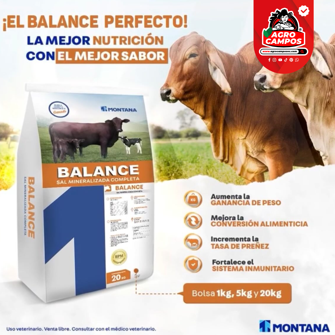 Sal Balance