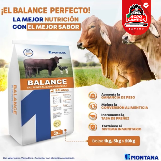 Sal Balance