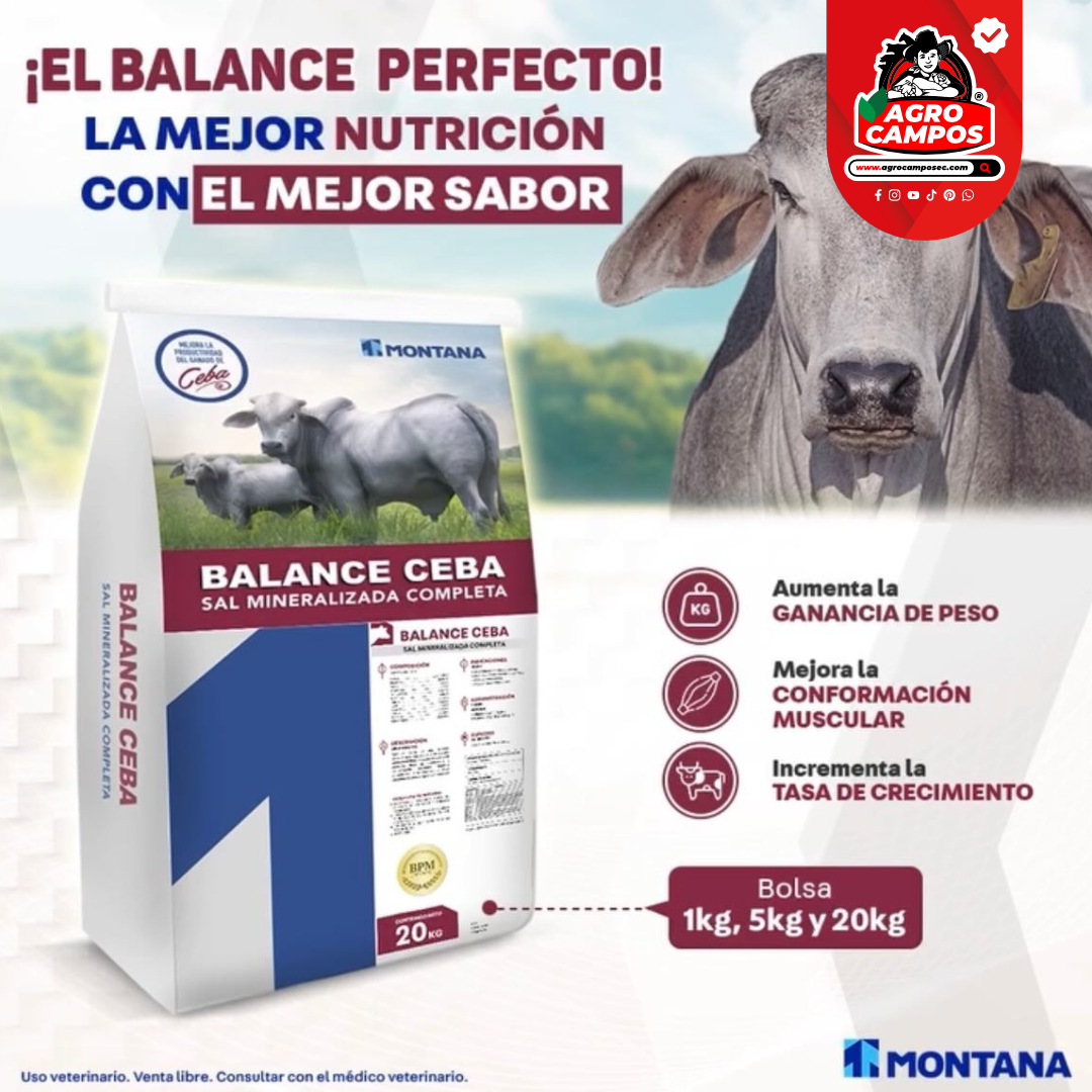 Sal Balance Ceba