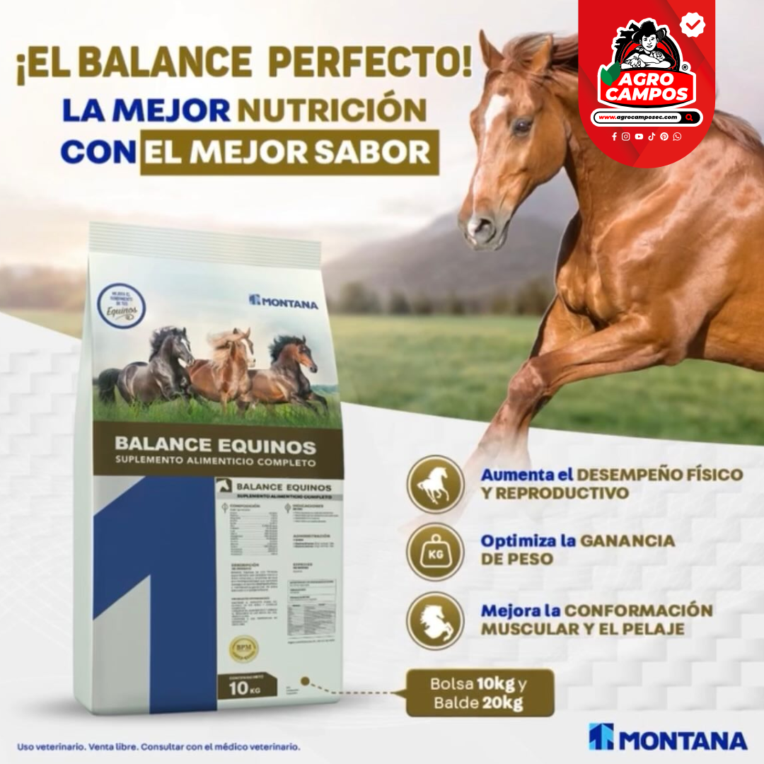 Sal Balance Equinos