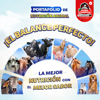 Probalance Ganadería