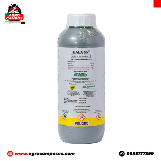 Bala 55