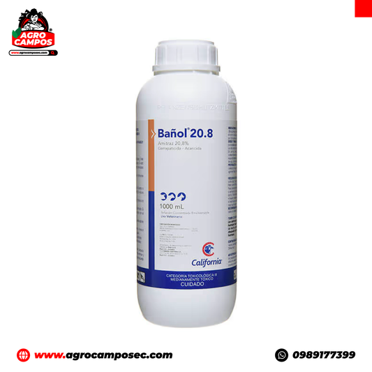 Bañol 20,8 %