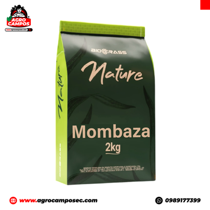 Semilla Pasto Mombaza Biograss