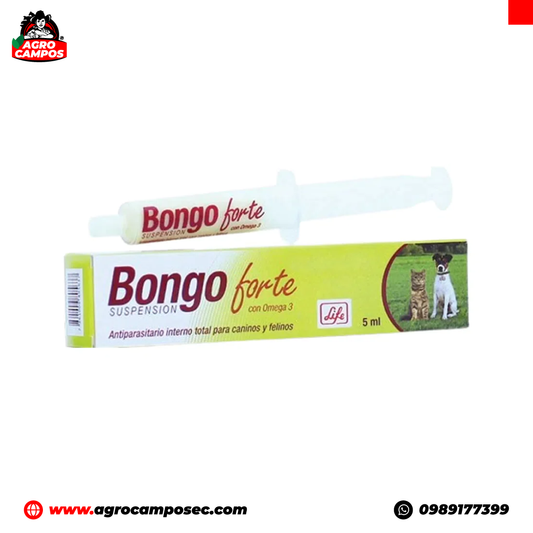 Bongo Forte