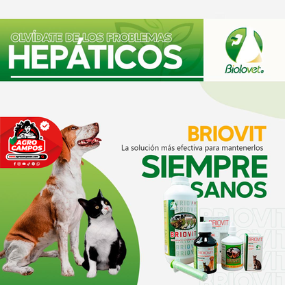 Briovit