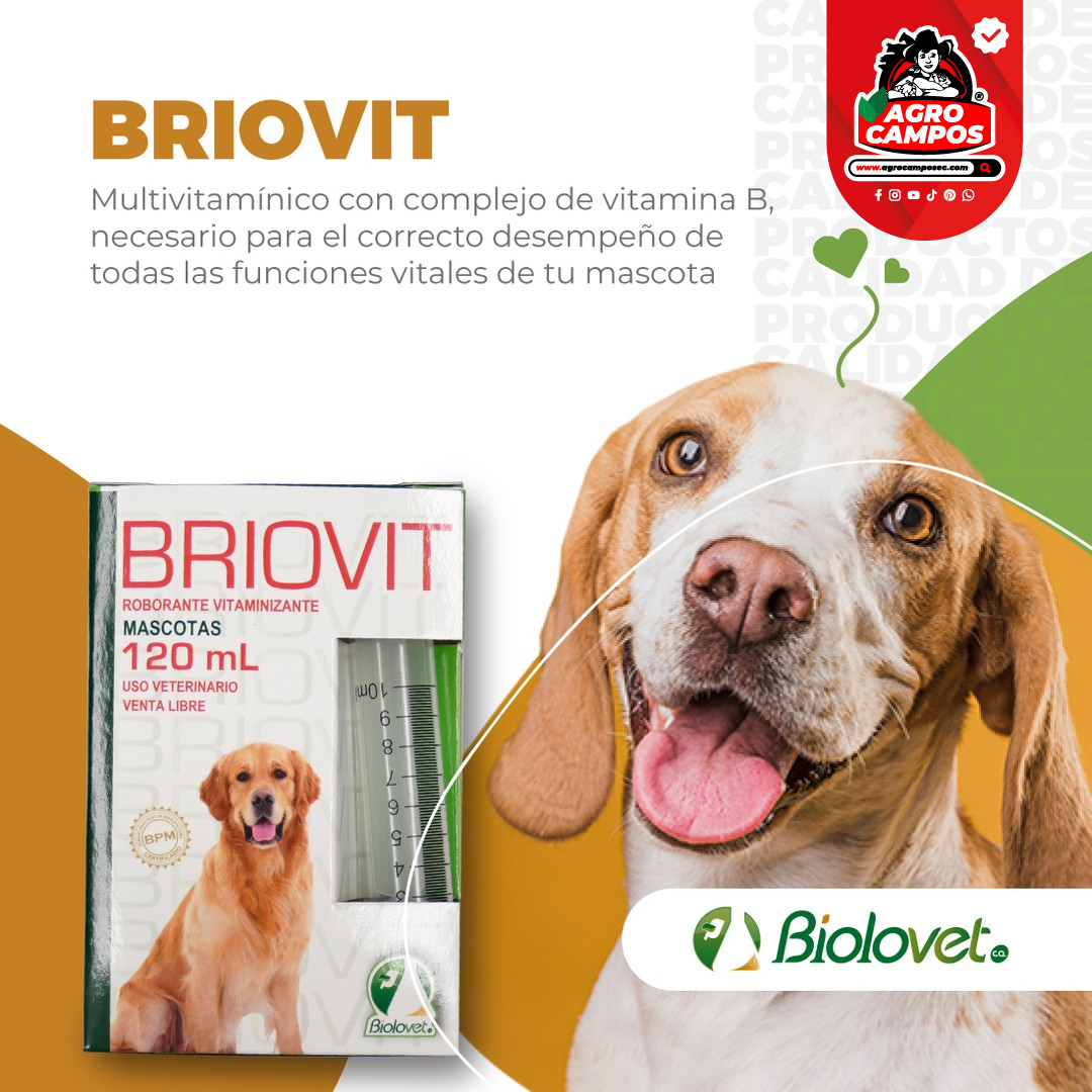 Briovit