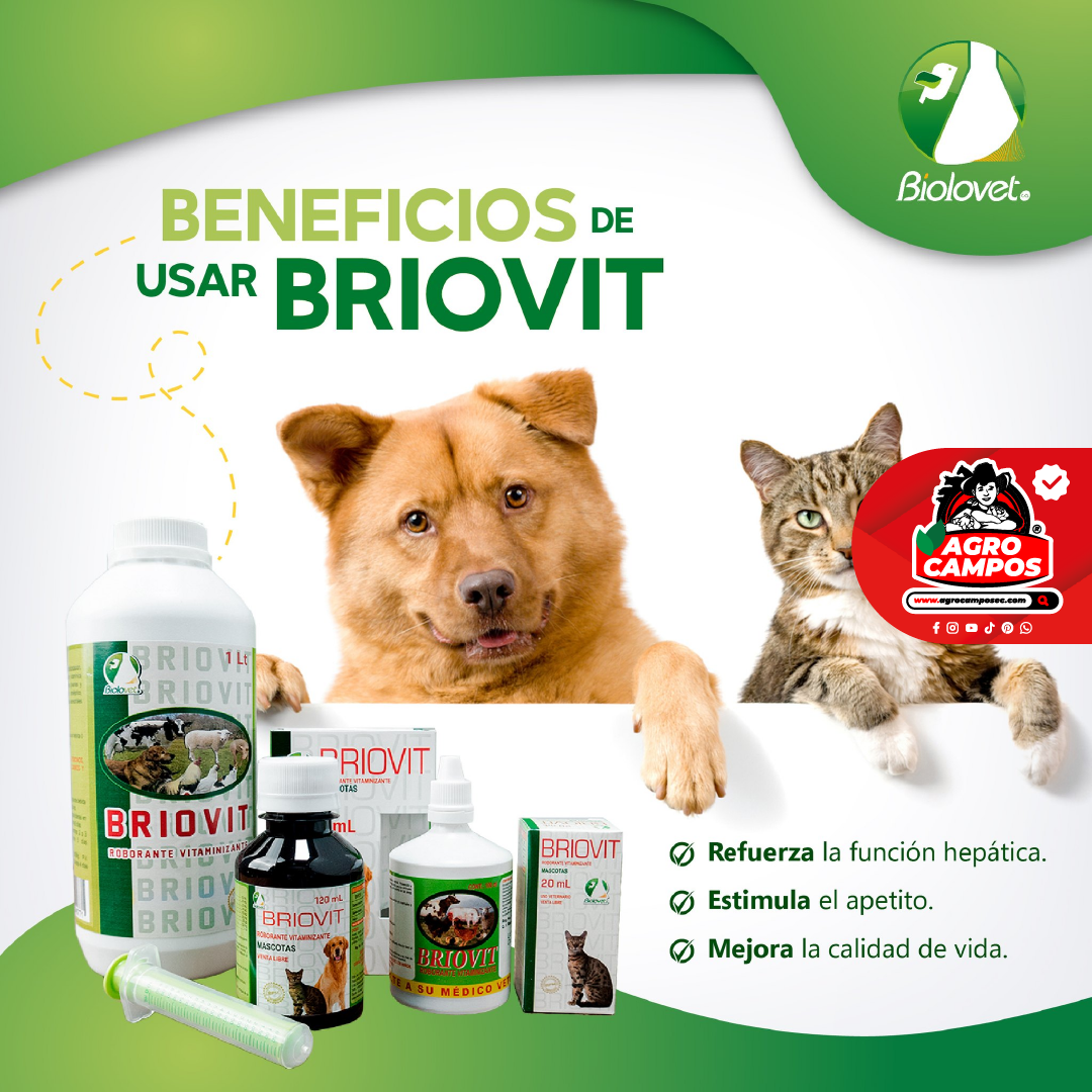 Briovit