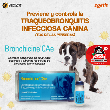 Vacuna Bronchicine (Tos Perrera) Mascotas