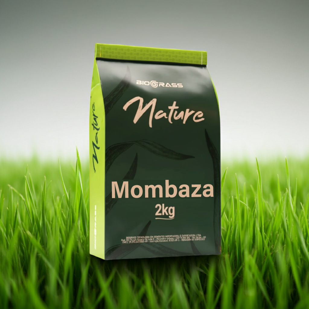 Semilla Pasto Mombaza Biograss