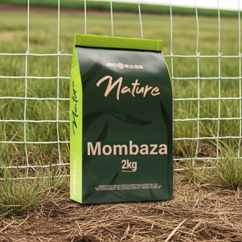 Semilla Pasto Mombaza Biograss