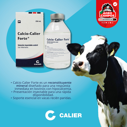 Calcio Calier Forte