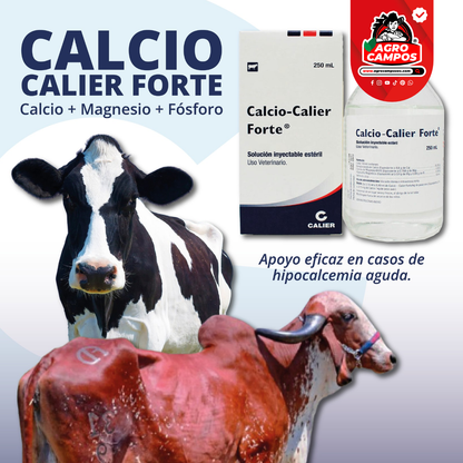 Calcio Calier Forte