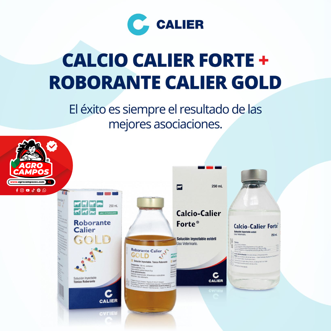 Calcio Calier Forte