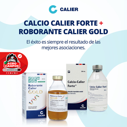 Calcio Calier Forte