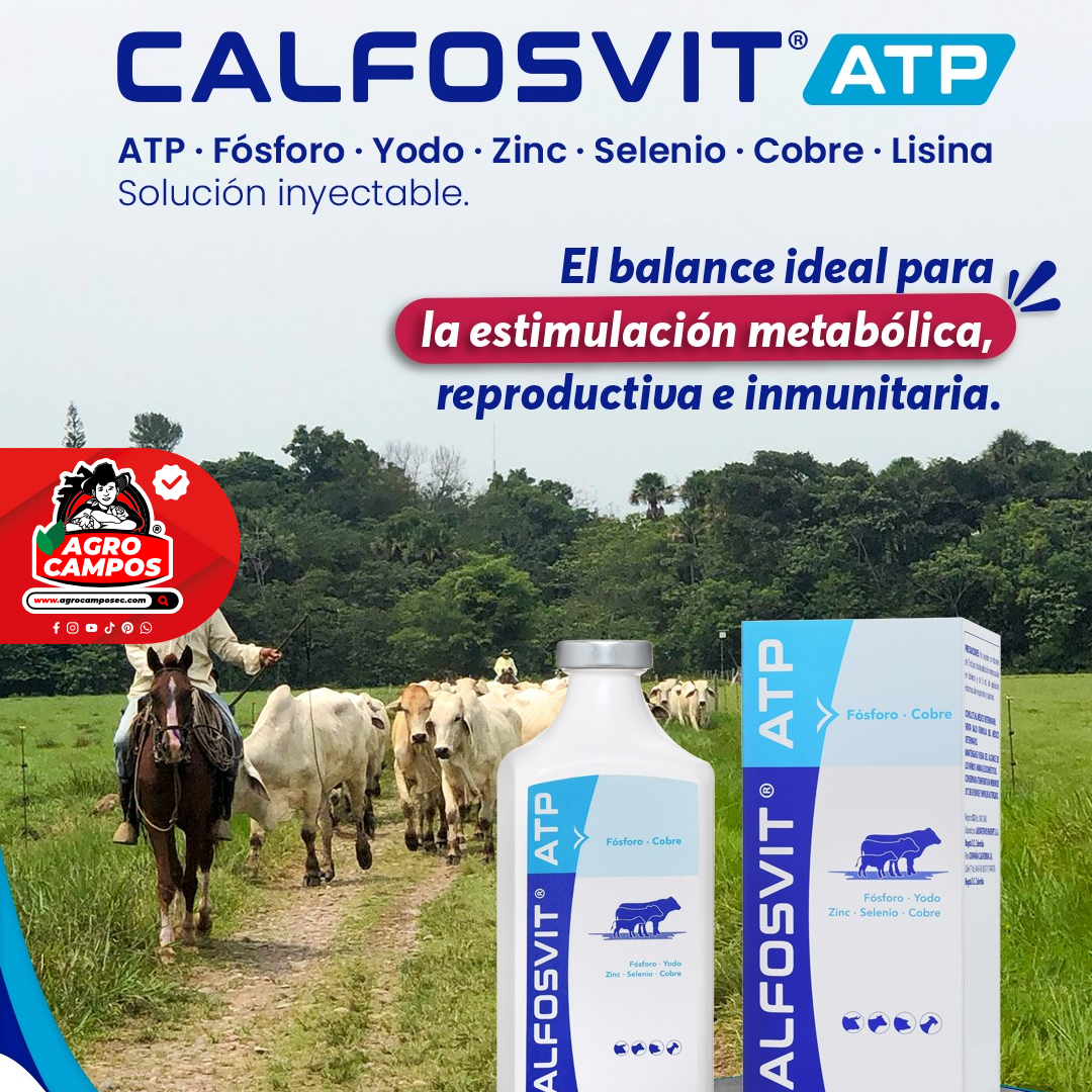 Calfosvit ATP
