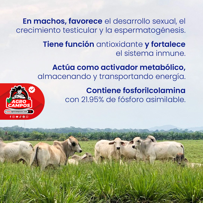 Calfosvit ATP