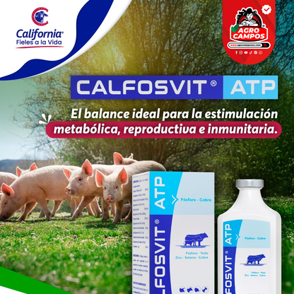 Calfosvit ATP