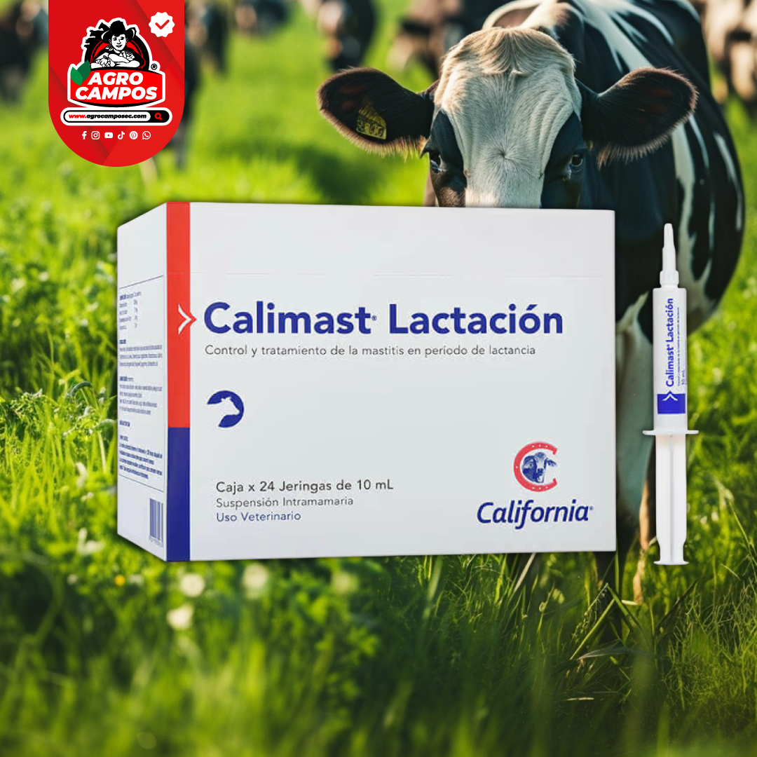 Calimast Lactación