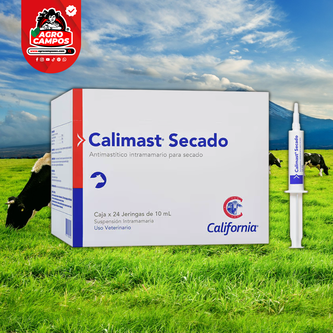 Calimast Secado