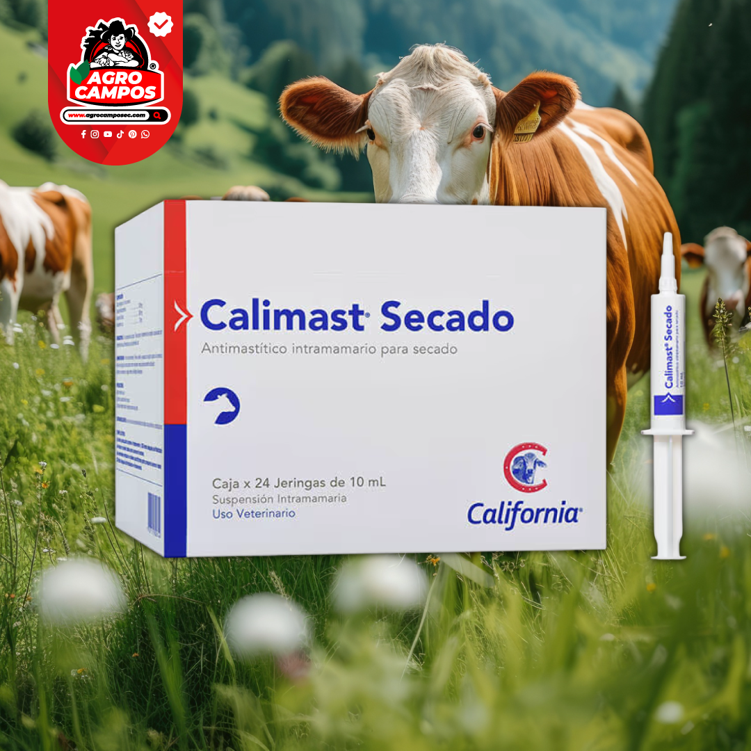 Calimast Secado