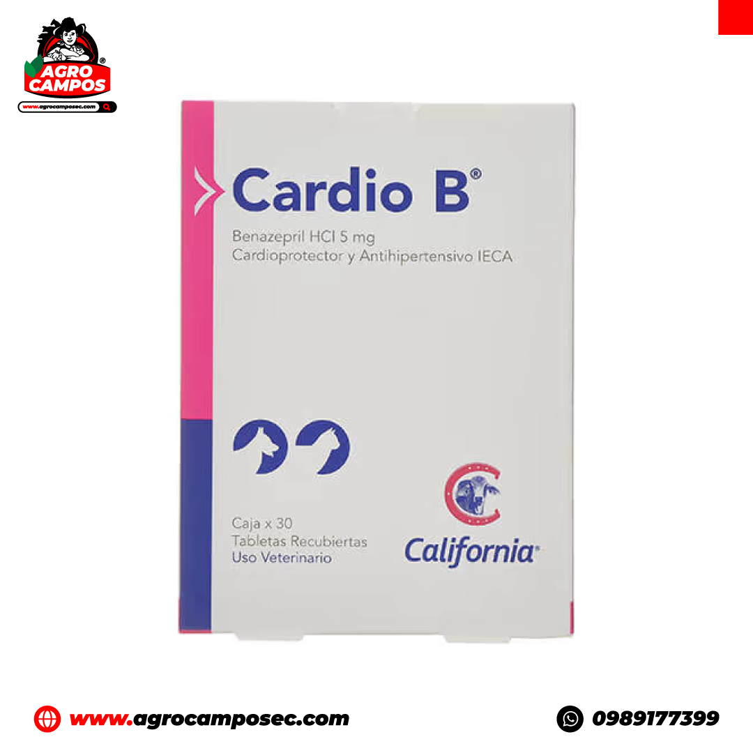 Cardio B