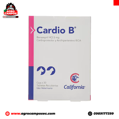 Cardio B Mascotas