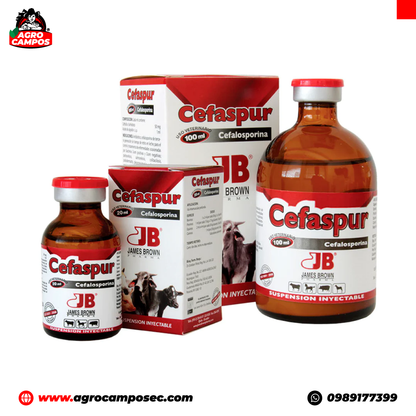 Cefaspur Inyectable