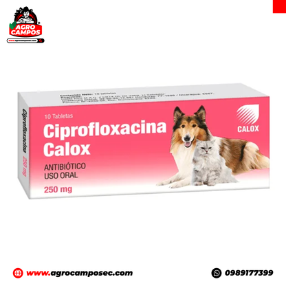 Ciprofloxacina Calox