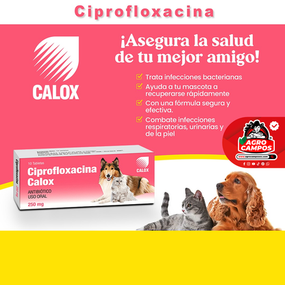 Ciprofloxacina Calox