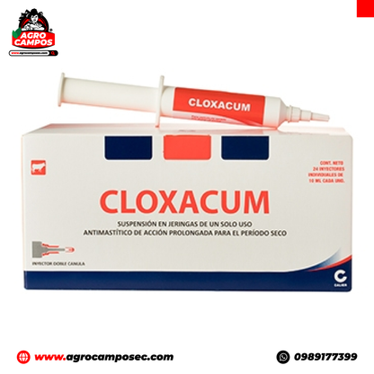 Cloxacum