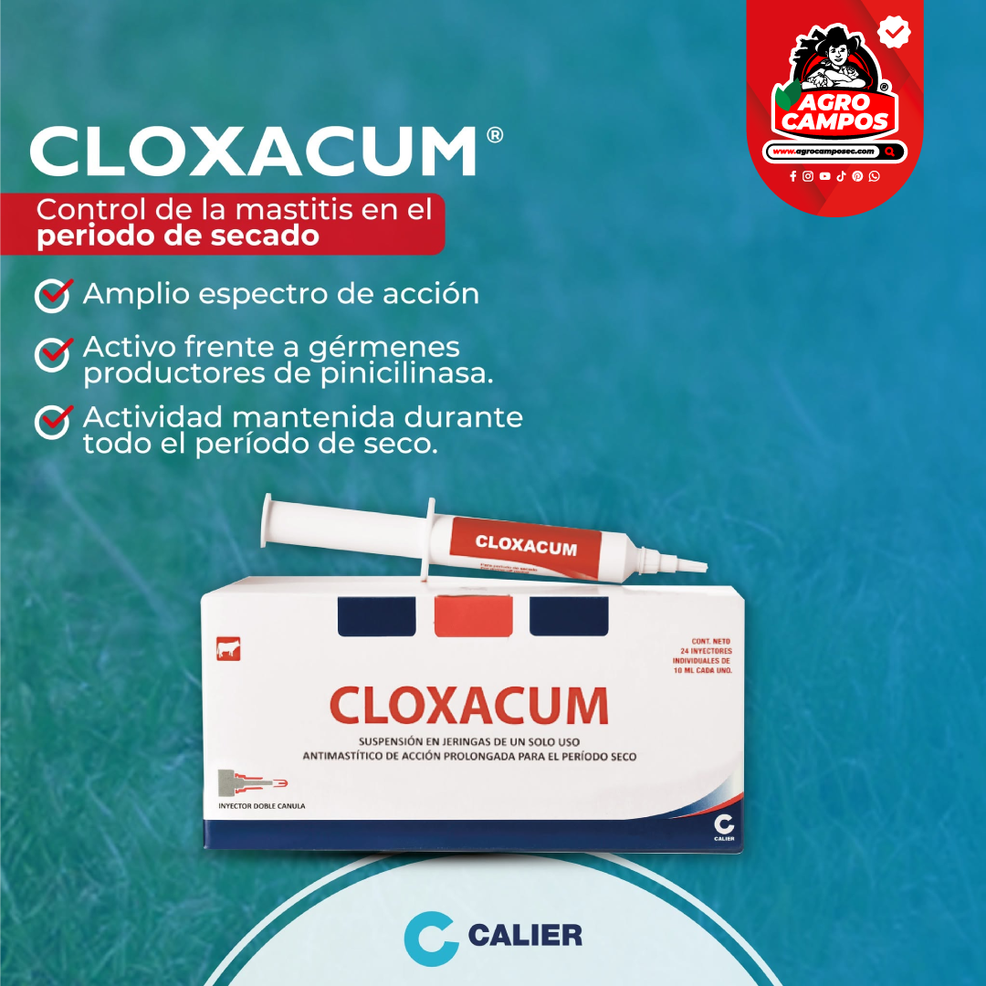 Cloxacum