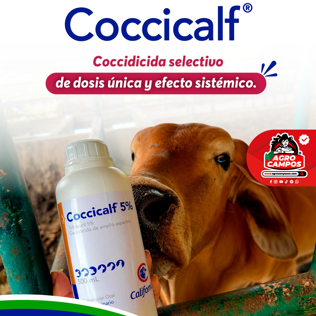Coccicalf 5%