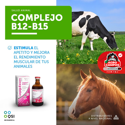 Complejo B12-B15