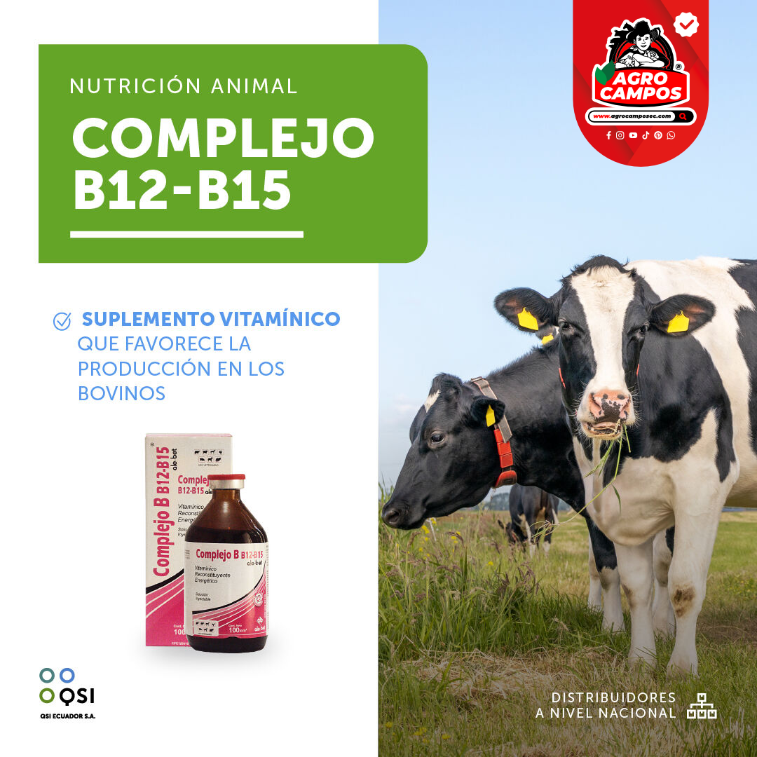 Complejo B12-B15