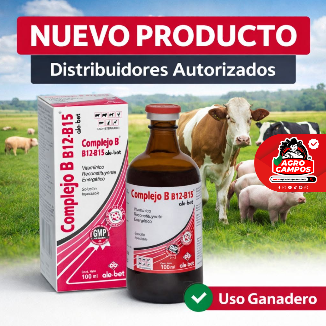 Complejo B12-B15